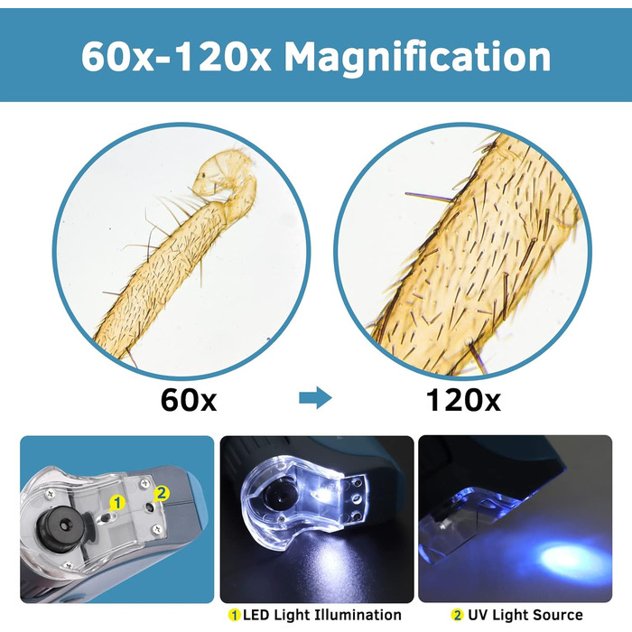 BEBANG Кишеньковий мікроскоп 60x-120x з LED-підсвічуванням, ручний міні-мікроскоп для дітей, студентів та дорослих, для мікробіологічних спостережень