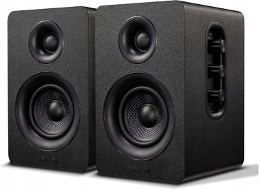Комплект акустичних колонок 2.0 Sanyun SW208, 50 Вт, чорний