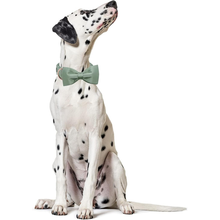 Нашийник для собак Lionet Paws з метеликом - комфортний шовковий нашийник зеленого кольору для маленьких собак, знімний метелик, розмір S (1 шт.), колір: трав'яний