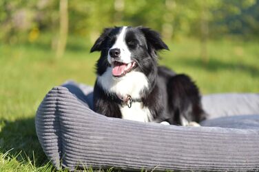 4L Textil М'яке ліжко-гніздечко для котів та собак, гніздо-лежанка, кошик для котів, лежанка для собак, для цуценят, сірий (60x40 см), 60 x 40 x 15 см