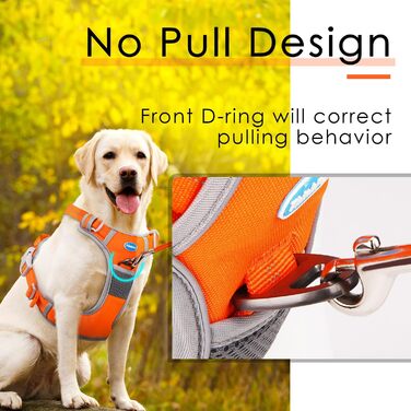 Шлейка для собак ThinkPet No-Pull, дихаюча, для малих, середніх та великих собак, регульована, м'яка, для прогулянок, безпечна, з контролем, з підкладкою, світловідбиваюча (Помаранчевий колір, 150 см повідком, XL, 1 шт.)