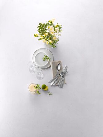 Набір столових приборів ZWILLING Greenwich, 68 предметів, для 12 осіб, нержавіюча сталь 18/10, матове/поліроване покриття
