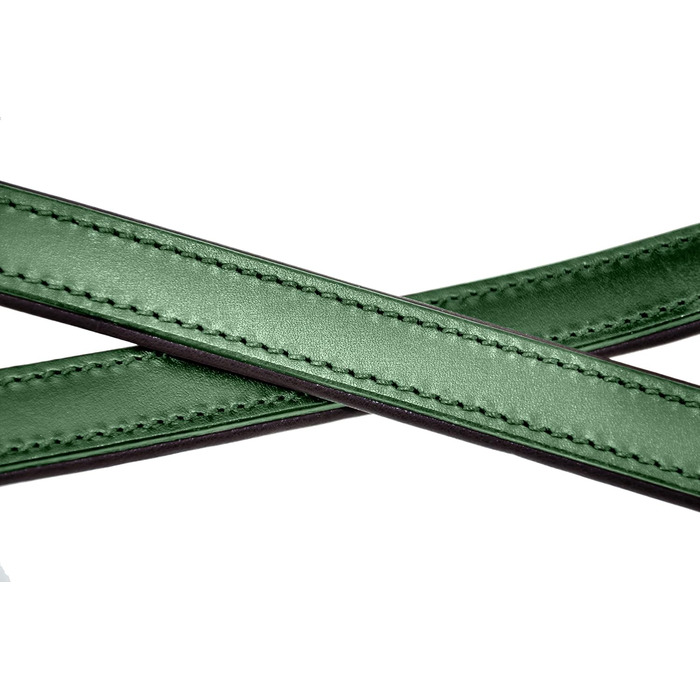 Leather Dog Leash - Training Leash - Leather Leash for Dog - Leash 3-Way Adjustable, for All Dogs (230cm, Green)