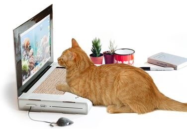 Будиночок для котів Suck UK Tank з картону, іграшки та ліжко для кошенят, інтерактивна іграшка для котів, оригінальні аксесуари та подарунки для котів, іграшки для котів для дому або на вулицю (Laptop)