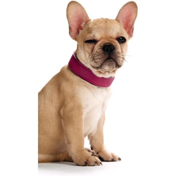 Нашийник для собак HUNTER BASIC, рожевий (полуниця), 55 см, шкіра, міцний, стильний