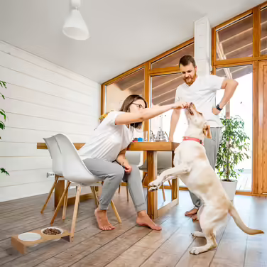 Станція годування Relaxdays для собак