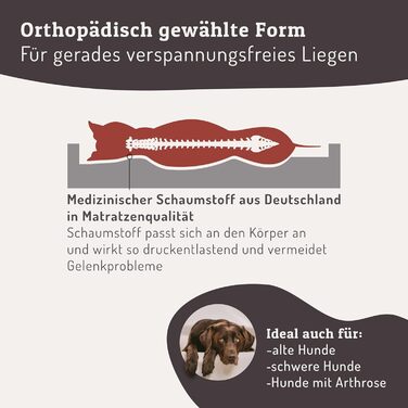 Ортопедичне ліжко для собак SABRO KUDDE Martin Rütter – Штучне шкіряне, миється, водовідштовхувальне, ергономічне, преміум аксесуар для маленьких собак, кремовий колір