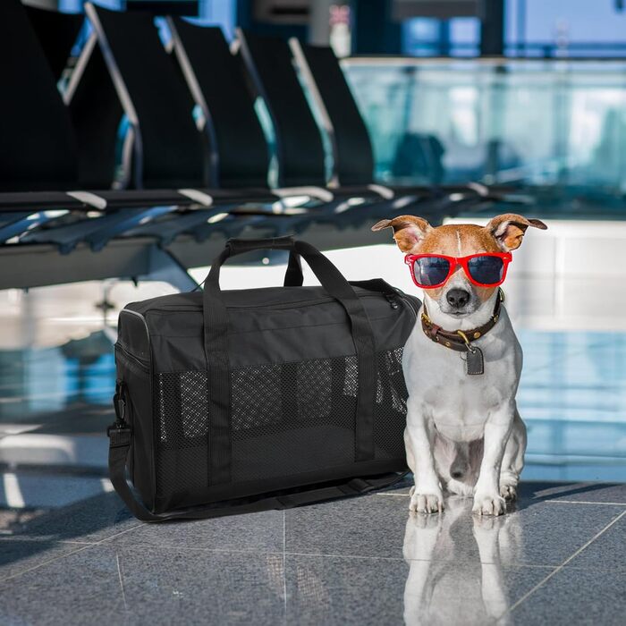 Транспортна сумка для кота та собаки Amexo, складана переноска для тварин, переноска для котів та собак середніх розмірів до 10 кг, 44 x 27 x 28 см (чорна)