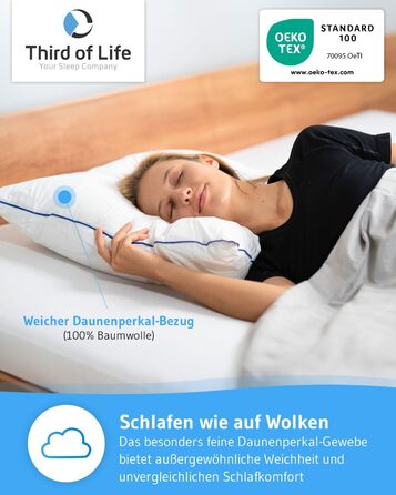 Pillow 60x70 inSPIRO from the winner of the 2022 Ergonomics Innovation Award, Best Ergonomic Sleeping Pillow, Suitable for Side Sleepers, Back Sleepers & Stomach Sleepers, Optimal Cervical Pillow 60 x 70