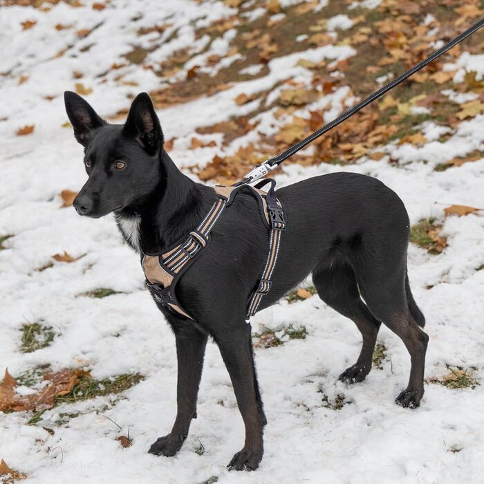 Шлейка для собак Ferplast середнього розміру, 2 гачки для контролю, шлейка від тяги, регульована, світловідбиваюча та дихаюча, ідеальна для тренувань, M, Бежево-коричнева