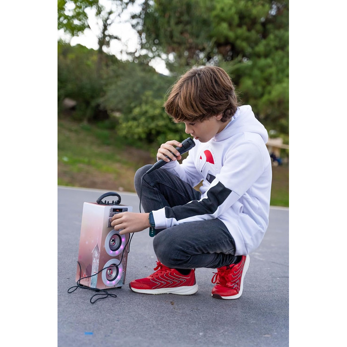 Караоке DYNASONIC з 2 мікрофонами, портативна караоке-машина, Bluetooth-динамік, USB та SD-кардридер, світлові ефекти, подарунок для дітей 5-13 років (Model 19)