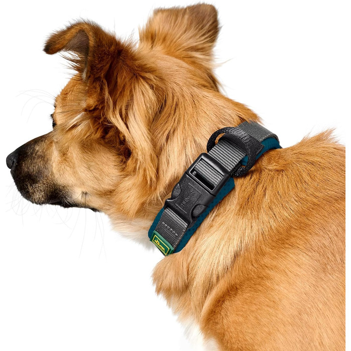 Нашийник для собак HUNTER Maldon, petrol, дихаюча сітка, міцний нейлон, безшумний, гіпоалергенний, з регулюванням натягу, з адресником, легкий, розмір S