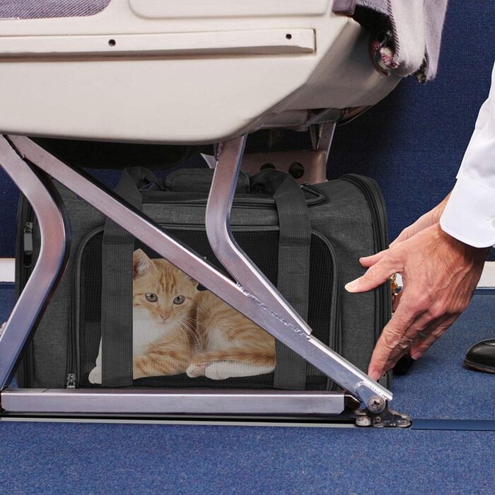 Транспортна сумка для кота та собаки, складана переноска для домашніх тварин середнього розміру (51x33x33 см, чорна)