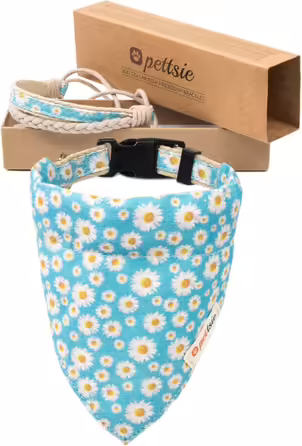 Pettsie Dog Collar with Bandana Fabric and Friendship Bracelet, Adjustable Sizes S, M, and L, Strong and Durable, Great Gift for Dog Lovers in Attractive Packaging, M, Pink (S (25.4 - 39.4 cm), Turquoise)