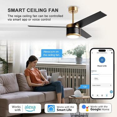 Стеляний вентилятор Reiga з підсвічуванням, 165 см, масивне дерево для зовнішнього використання IP44, регульована LED-лампа та DC-двигун, сумісний з Alexa & Google Home з пультом дистанційного керування (Чорний, Дерев'яний)