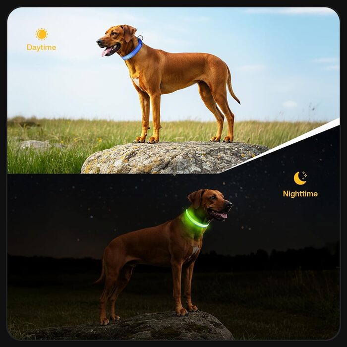 Світлодіодне нашийник для собак Jewyow 7-в-1, багатоквітний, USB-C, водонепроникний, для малих, середніх та великих собак - Синій, M