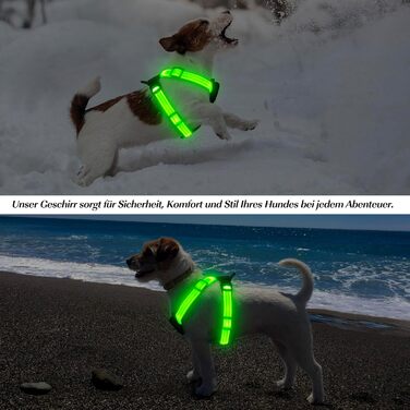 Світловідбиваючий нашийник для собак PZRLit з LED підсвічуванням, зарядний, для маленьких собак, XS, для безпечних прогулянок вночі (зелений)