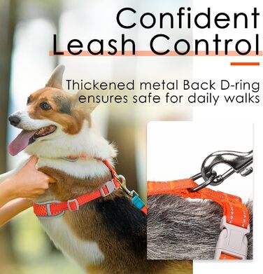 Шлейка для собак ThinkPet No-Pull, дихаюча, для малих, середніх та великих собак, регульована, м'яка, для прогулянок, з контролем, з підкладкою, світловідбиваюча (Помаранчевий, S, 1 шт.)