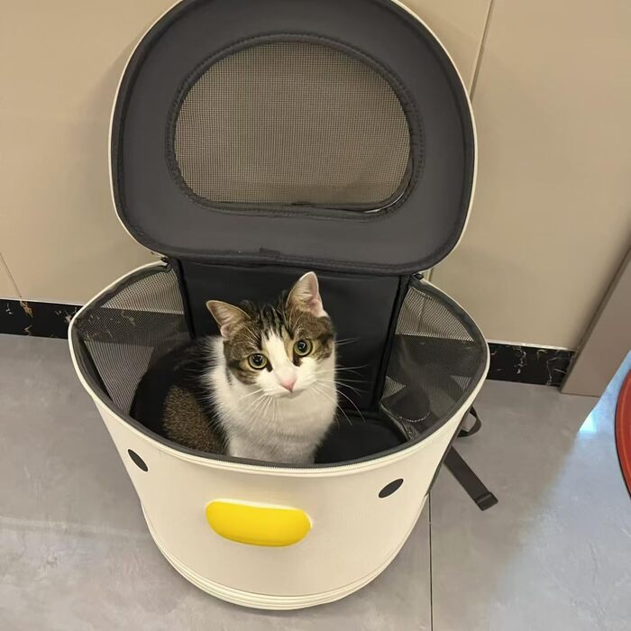 Рюкзак для тварин: переноска для собак та котів вагою до 15 кг