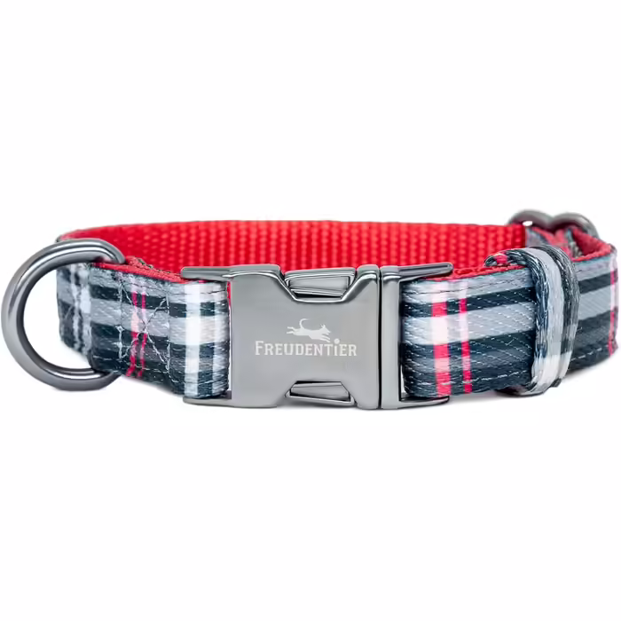 Dog Collar with 2m Leash Set - Adjustable Leash - Edinburgh Collection - Dog Collar for Large Dogs, Collar for Small & Medium Dogs - Dog Collar including Gift Box (30-40cm Neck Circumference)