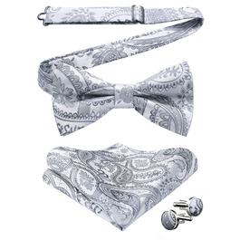 Метелик HISDERN класичний сірий, комплект для чоловіків