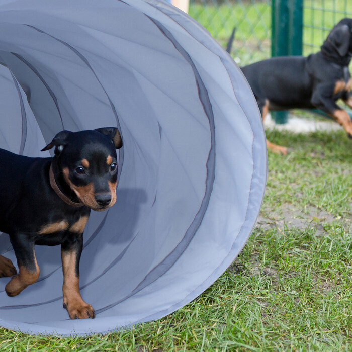 Relaxdays Dog Tunnel Agility 3m
