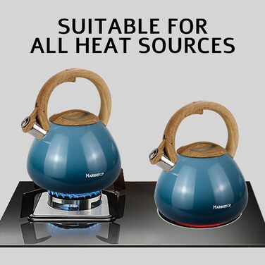 Чайник заварний з нержавіючої сталі Teekessel для плити та індукції, 2.5 л (світло-зелений)