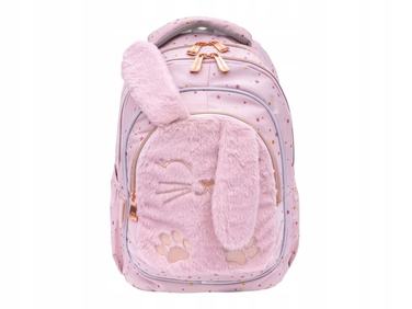 Багатокамерний шкільний рюкзак AstraBag, рожевий, 20 л