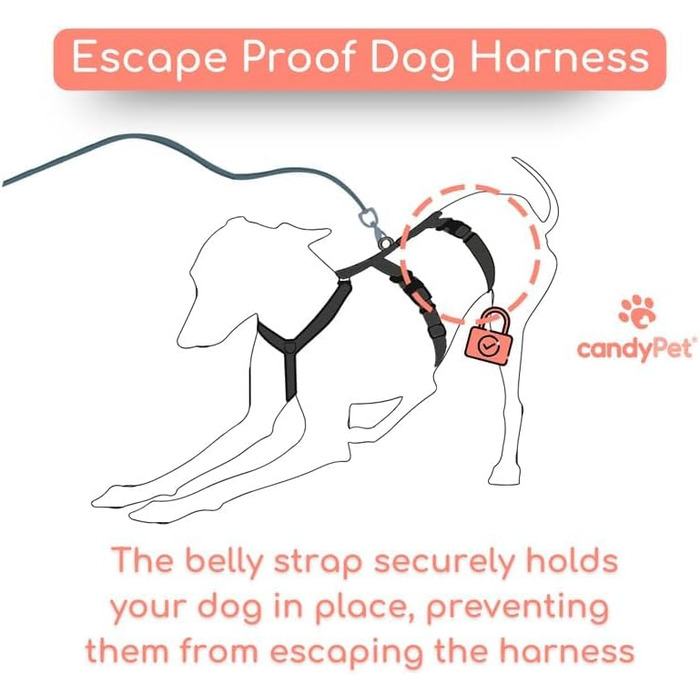 Поясний нашийник для собак, проти витягування, для італійських грейхаундів, віппетів, грейхаундів, подонко - безпечний, дихаючий та довговічний, ідеальний для походів, тренувань та бігу, антрацитовий колір, розмір M