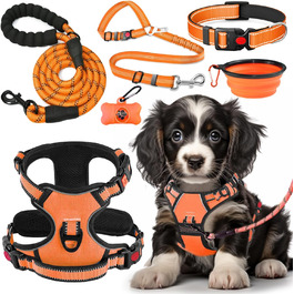 колір: помаранчевий