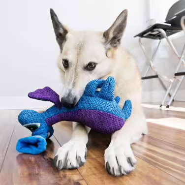 KONG Extreme Dog Toy (2-Pack), X-Large (Multi, One Size)
