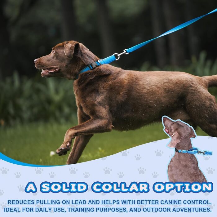 Нашийник для собак Martingale, світловідбиваючий, з зупиняючою функцією, для великих, середніх та маленьких собак, нейлон, блакитний, розмір L