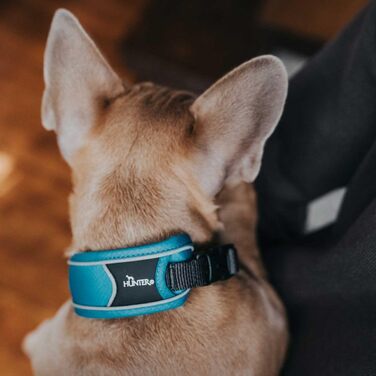 Нашийник для собак HUNTER DIVO, нейлон, розмір S, світло-блакитний/сіро-бірюзовий