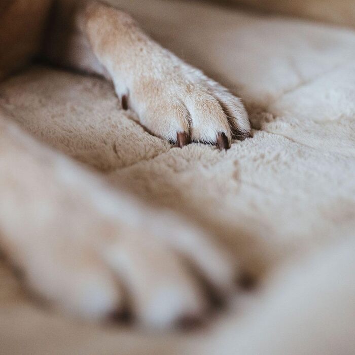 Килимок для собак HUNTER Vermont Cozy S, 60 x 40 см, бежевий