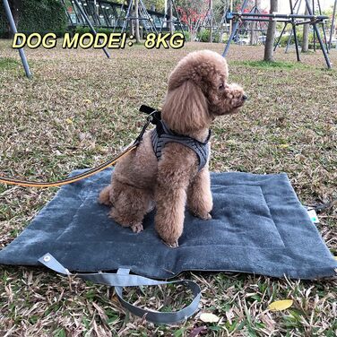 Водонепроникний килимок для собак Pawsse 80 x 60 см - зручний для подорожей, авто та кемпінгу