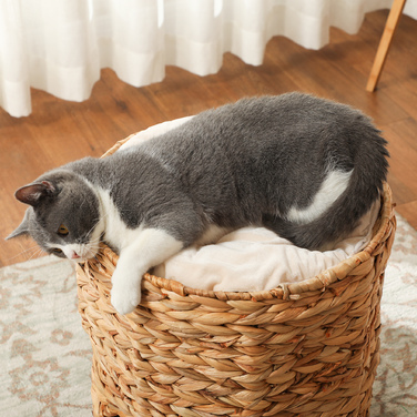 PawHut Драбина для котів, 50 см у висоту, драбина для котів з 2 печерами, кігтеточка з подушкою, кігтеточний комплекс з рогозу, для котів до 3,5 кг, Світло-коричневий | Aosom