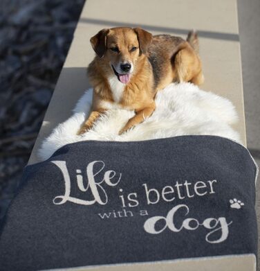 Підстилка для домашніх тварин David Fussenegger Life is Better Dog, маленька, антрацитова, 90x70 см, 7319/98