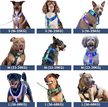 Шлейка для собак Spark Paws No Pull для великих порід, фіолетовий колір, розмір L (16-25 кг), надійна та зручна