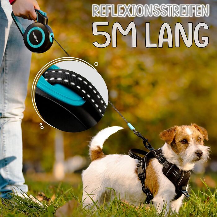 Висувна поводок для собак Rollleine 5м з функцією зупинки - зручний поводок для прогулянок, підходить для собак маленьких та середніх порід (до 20 кг), колір блакитний
