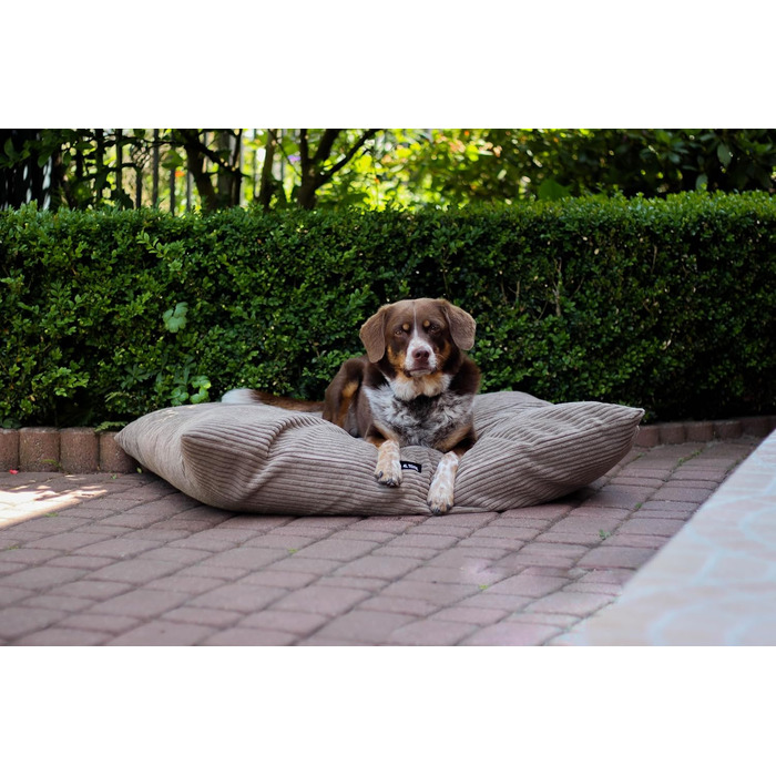 4L Textil ZOE - М'яке собаче ліжко з тканини Corduroy, 60x50 см, бежеве (смужки)