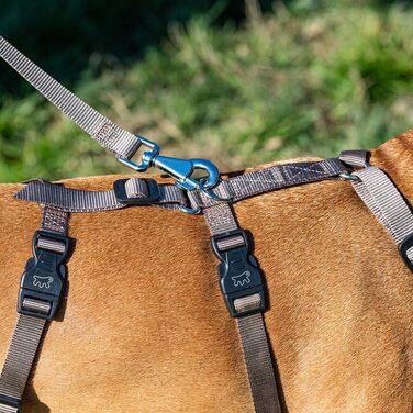 Шлейка для собак Ferplast Brave, середній розмір, коричнева. Безпечна та регульована шлейка з 6 застібками для грейхаундів та інших середніх порід.