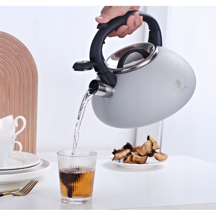 Класичний сталевий чайник Karl Hausmann, 2,7 л, сірий