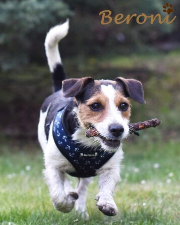 Шлейка для собак Softgeschirr, морська тематика, регульована, розмір L (37-42см, 47-63см)