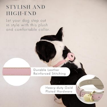 Cupertino Dog Collars, Harnesses & Leashes from Vegan Leather with Dog Tracker Device Holder, Adjustable Dog Collar (Small (Neck: 12x15), Pink) (Medium (Neck: 15x19), Pink)