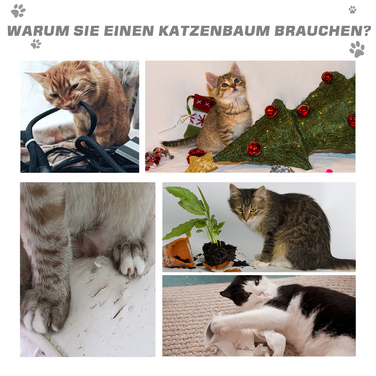 PawHut кігтеточка для котів з сизаловими стовпами, дряпальною дошкою, до 30 кг, котячий комплекс, світло-сірий, 59x39x83 см | Aosom