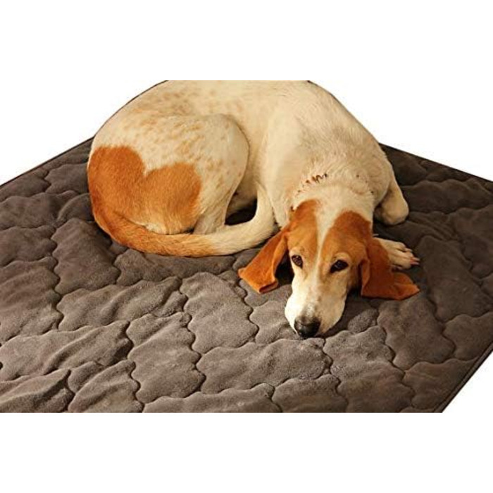 Антиалергенний коврик для собак GGM 100x120 см – швидковисихаючий, м'який, для собак, стійкий до бліх та кліщів, антрацитовий колір