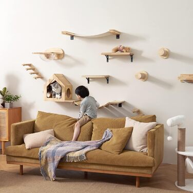 Climbing Wall for Cats, Transparent Room Capsule with 2 Pedals as a Cat Wall Furniture Set, made of Solid Rubberwood, High-Quality Cat Bed for Sleeping, Playing, and Climbing - Supports up to 16KG