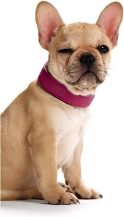 Нашийник для собак HUNTER BASIC, рожевий (полуниця), 55 см, шкіра, міцний, стильний