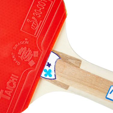 Relaxdays Table Tennis Set with Net