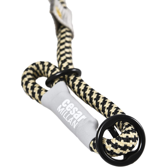 Leine - Training leash for dogs - 2in1 dog collar and leash - Slip lead - Retriever leash with integrated collar (Small/Medium - Color: ) - Length 120 cm, Diameter 1 cm (Normal, Multi-colored)